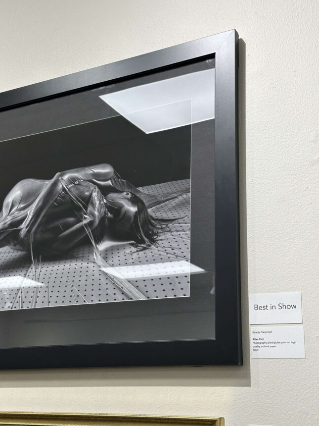 beauty-perserved-paa-best-in-show-feb-2nd-2024